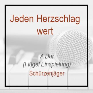 Jeden Herzschlag Wert - Schürzenjäger - A Dur - Klavierversion