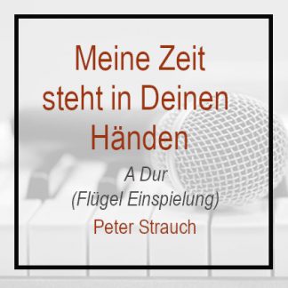 Meine Zeit steht in deinen Händen - Peter Strauch - Klavierversion - Flügel