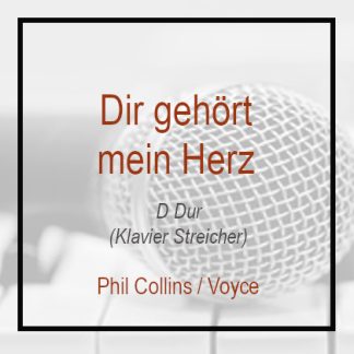 Dir gehört mein Herz - Voyce - D-Dur - Klavierversion - Instrumental